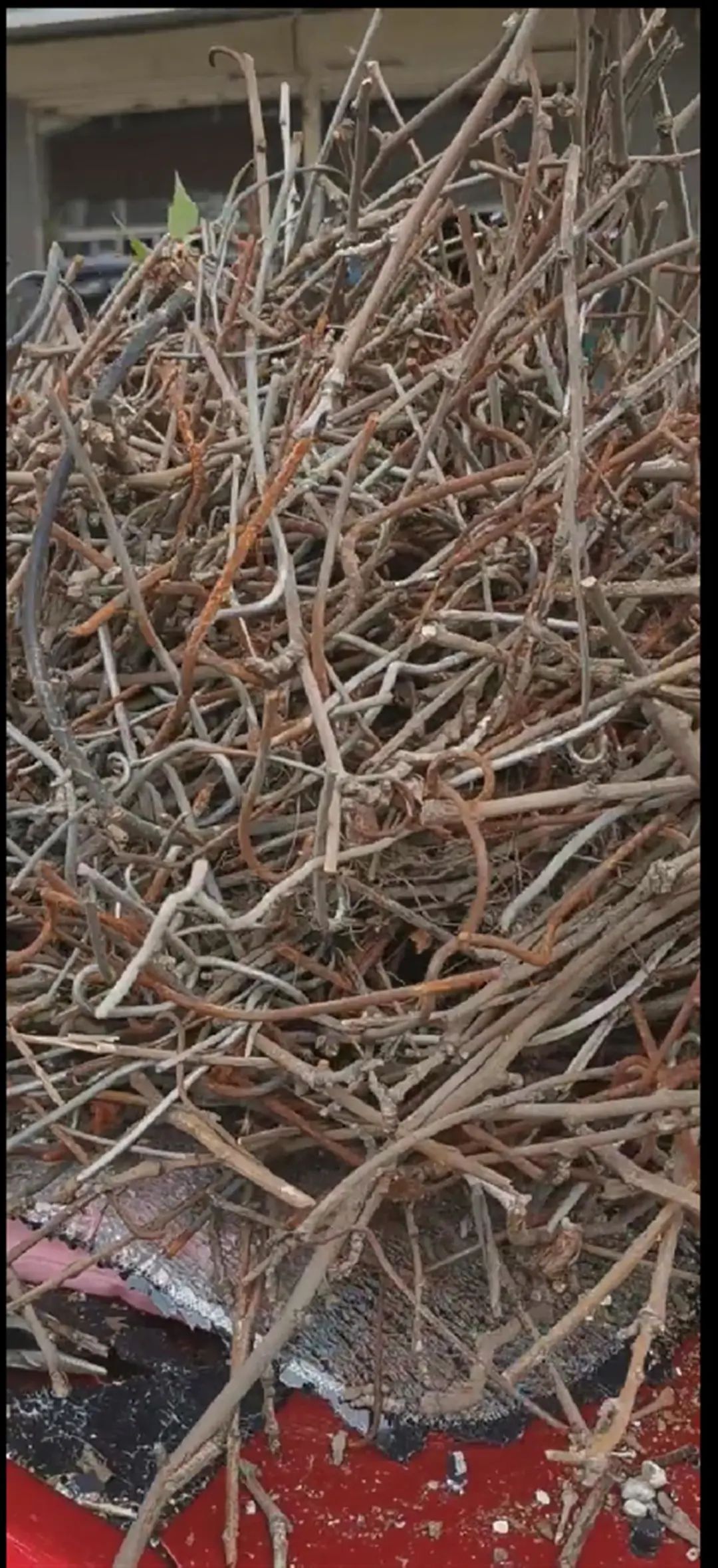 DƬ